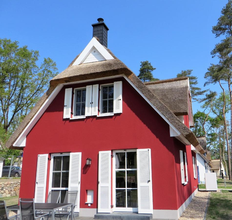 Reetdachhaus Am Haff Mit Sauna, Terrasse, Wlan Zirchow Exterior foto
